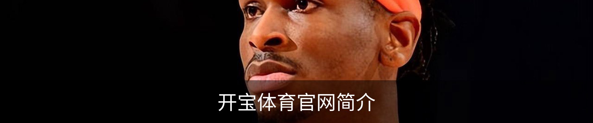 开宝体育官网简介